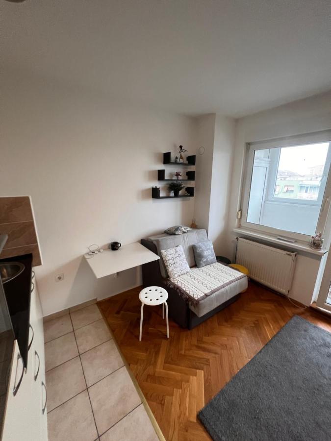 Stankela Apartment Novi Sad Bagian luar foto