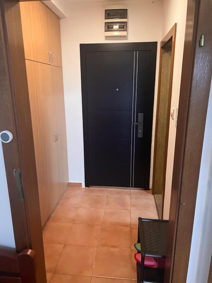 Stankela Apartment Novi Sad Bagian luar foto